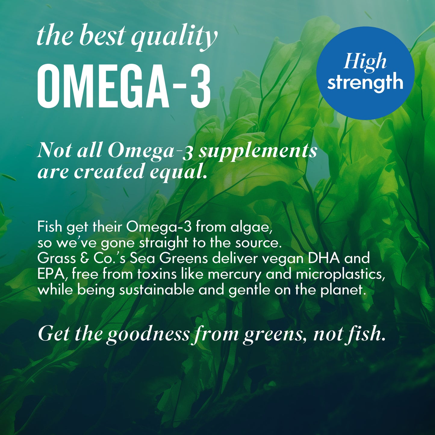 Seaweed Image with Omega 3 Benefits