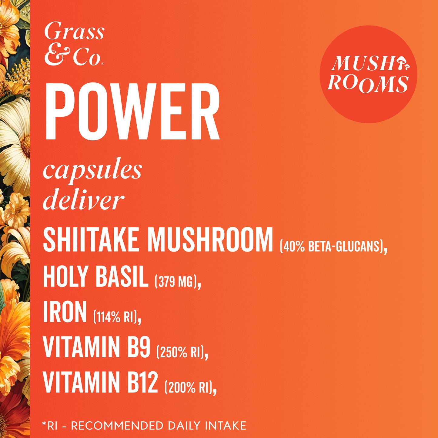 Image showing key ingredients in POWER capsules