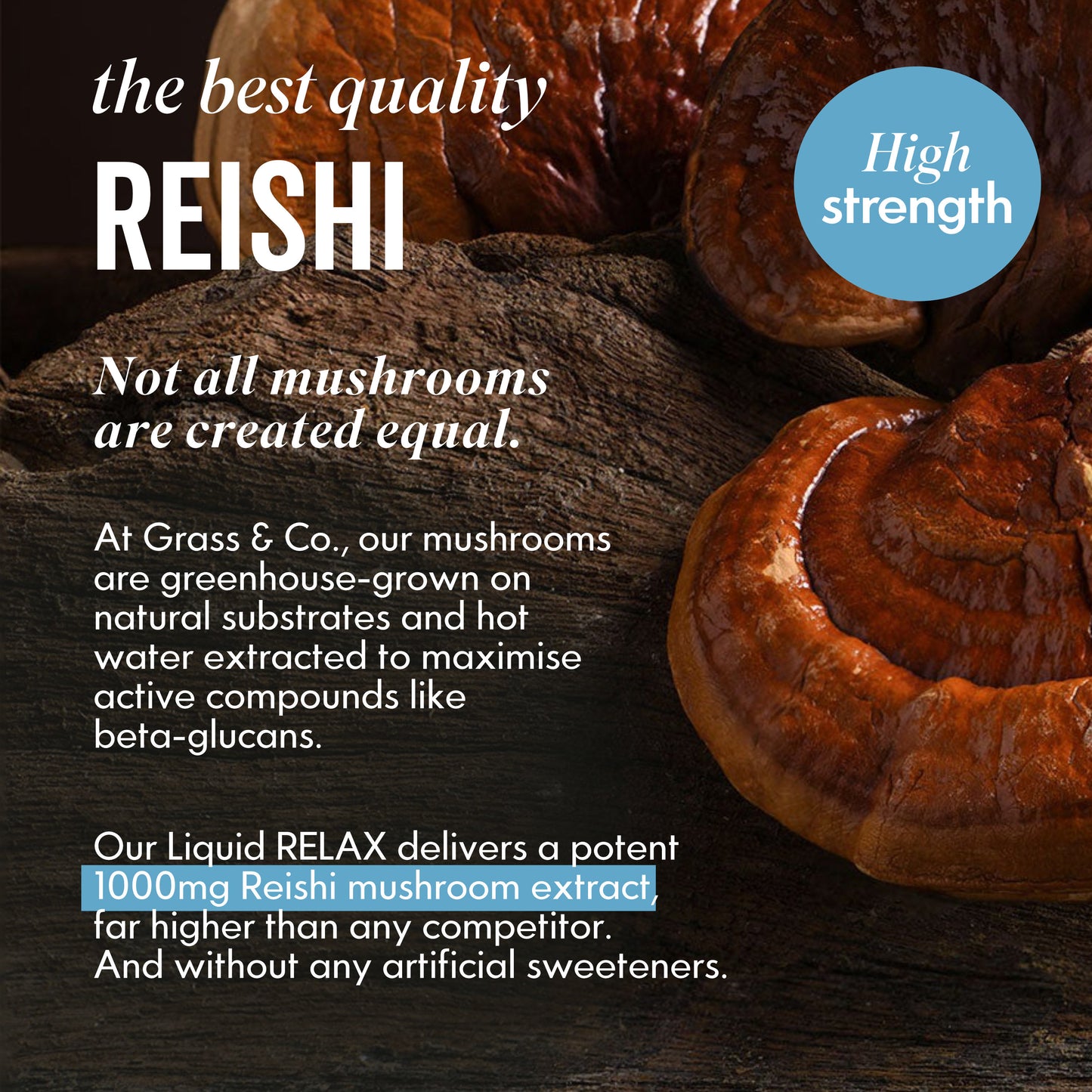 Introduction to Reishi Mushrooms with picture of Reishi Mushrooms