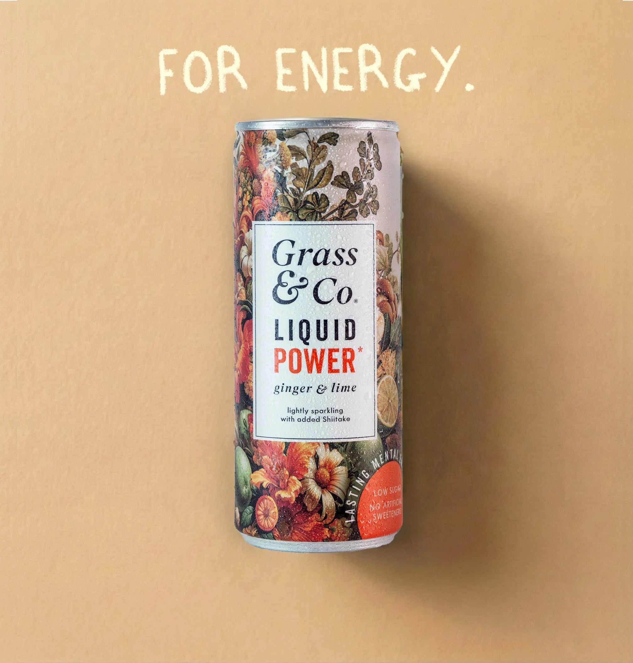 Liquid POWER | Ginger, Lime and Shiitake Drink
