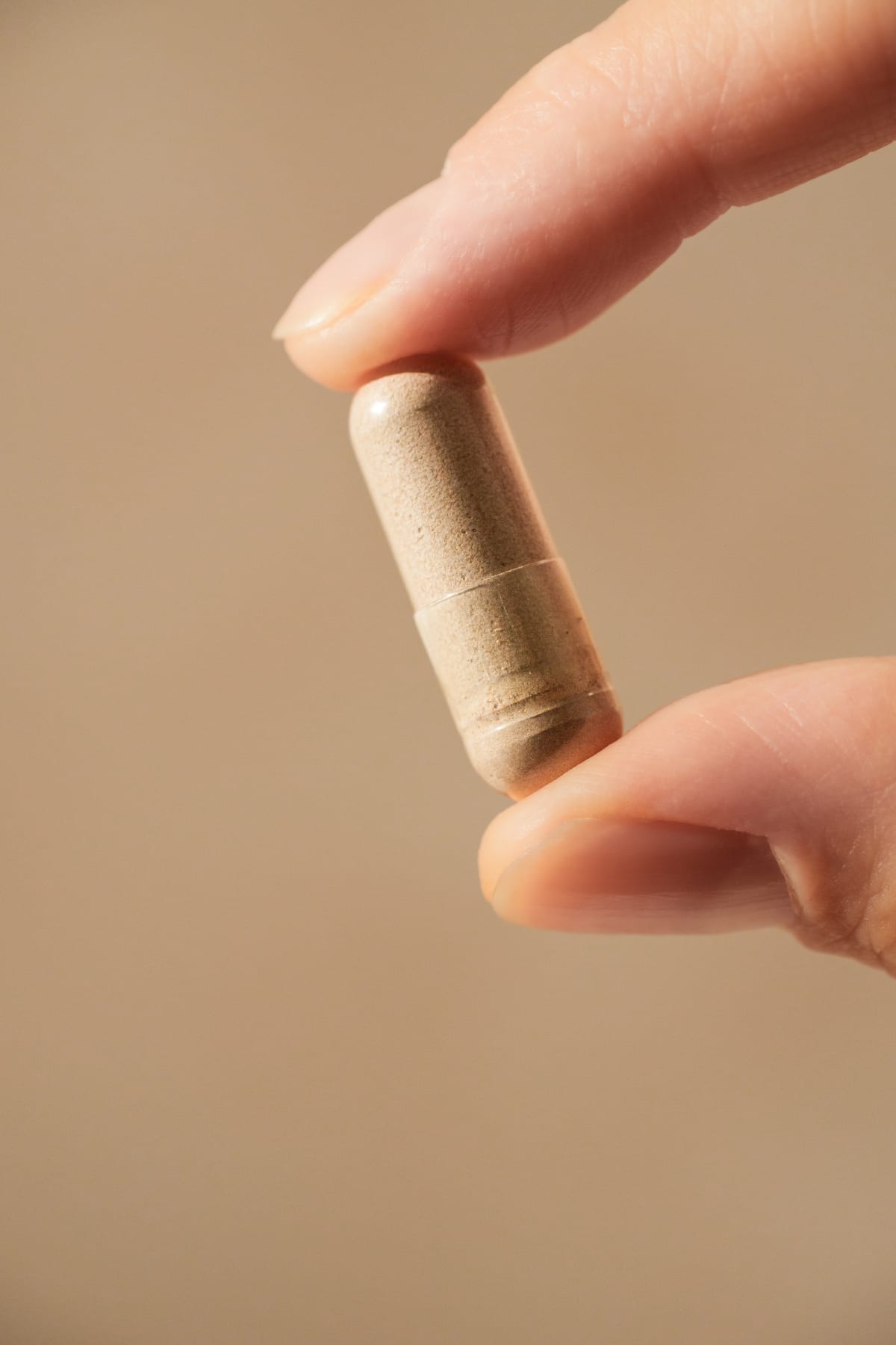 DREAM | Reishi Mushroom Capsules