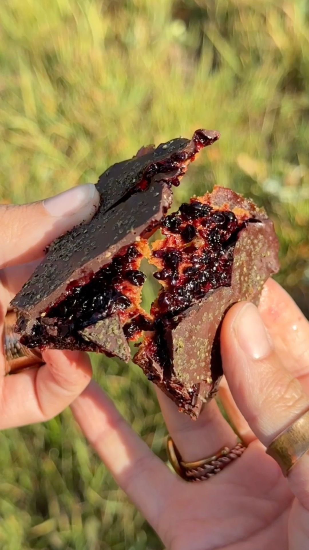 Chocolate, peanut butter and elderberry date bars