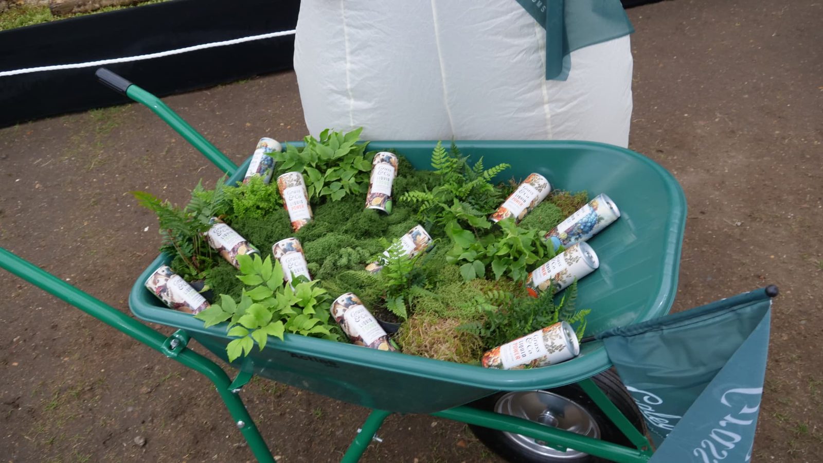 A green wheelbarrow filled with moss, ferns and chilled Grass and Co. cans