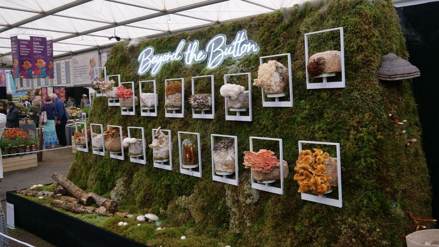 Grass & Co. 'Beyond the Button' garden