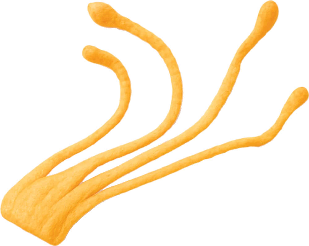 Photograph of Cordyceps (Cordyceps sinensis)