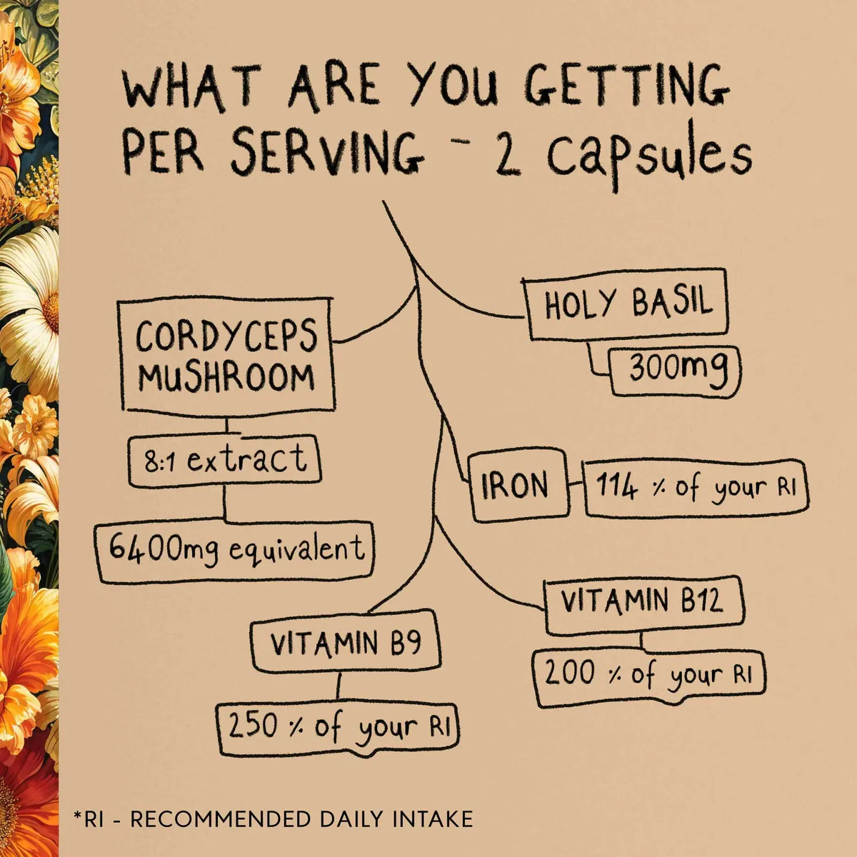 ENERGY | Cordyceps Mushroom Capsules, image 6