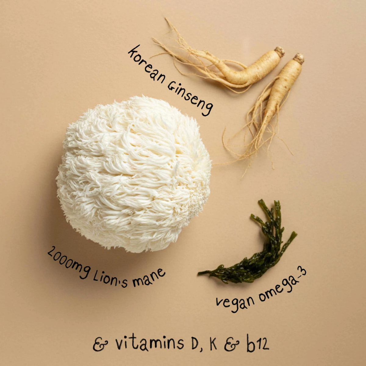 FOCUS | Lion's Mane Mushroom Powder, image 6