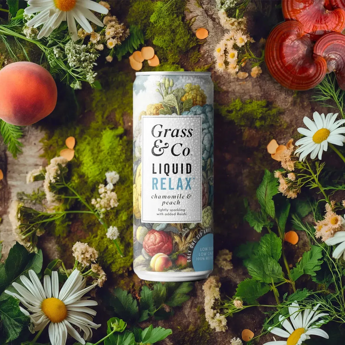 Liquid RELAX | Nootropic Drink, image 9