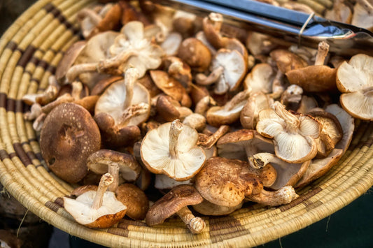 Shiitake Mushrooms: The Potential Benefits