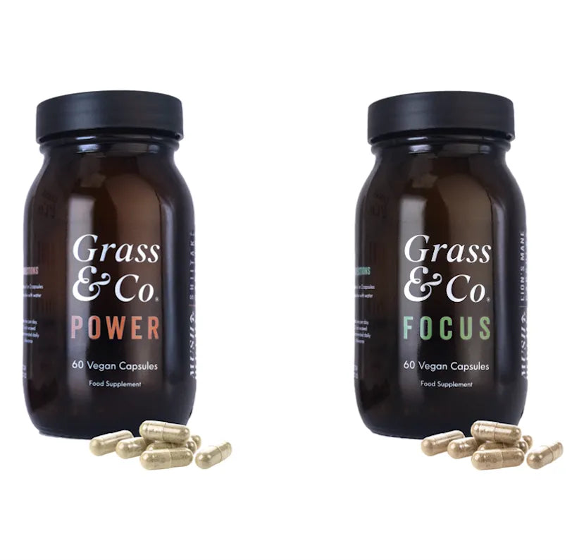 Mushrooms | Productive Days Bundle
