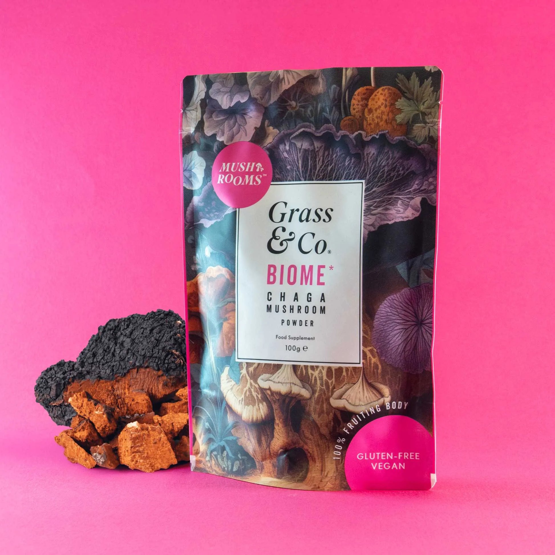 BIOME | Chaga Mushroom Powder