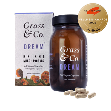 DREAM | Reishi Mushroom Capsules