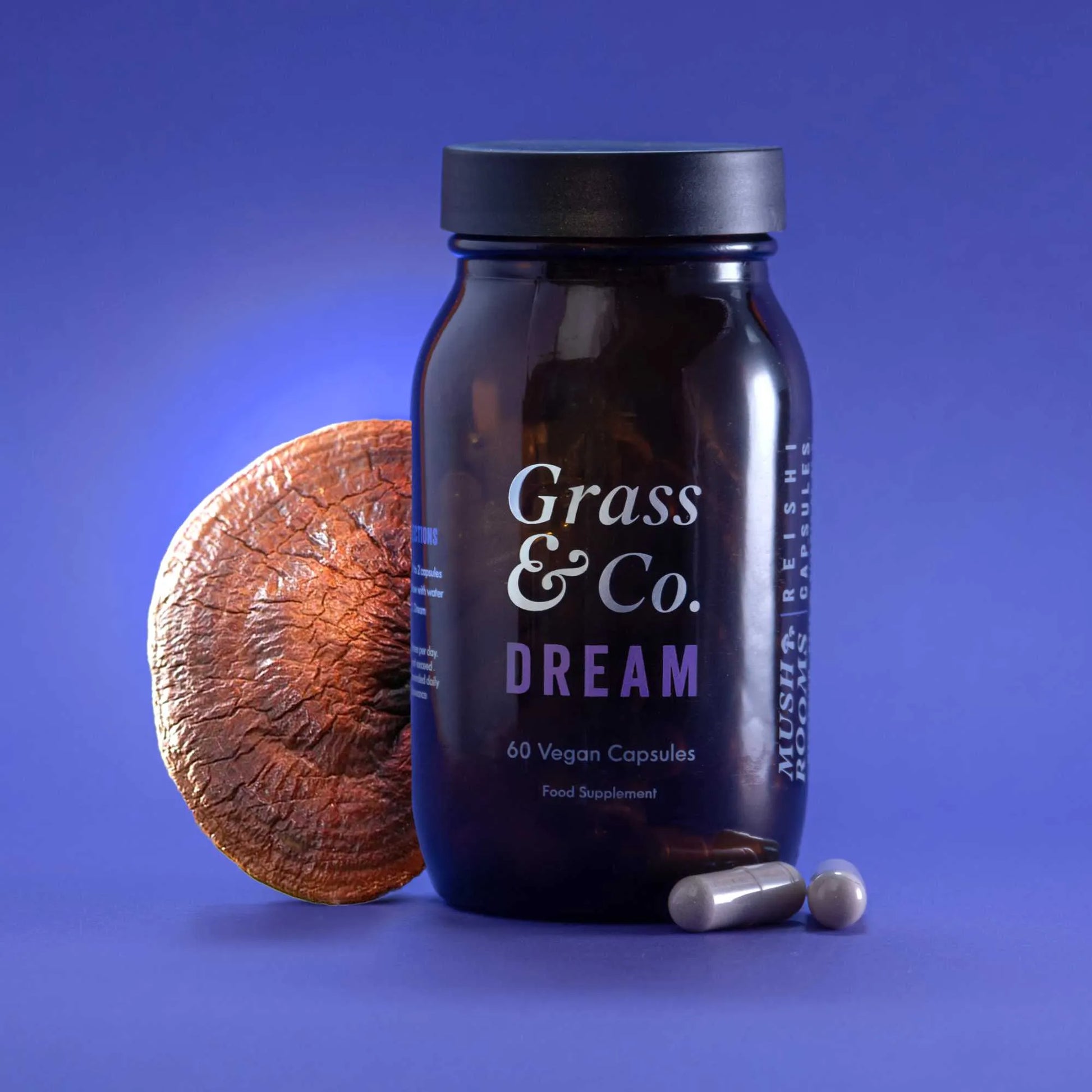 DREAM | Reishi Mushroom Capsules