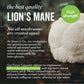 Lions Mane Mushroom with OCUS Capsules information
