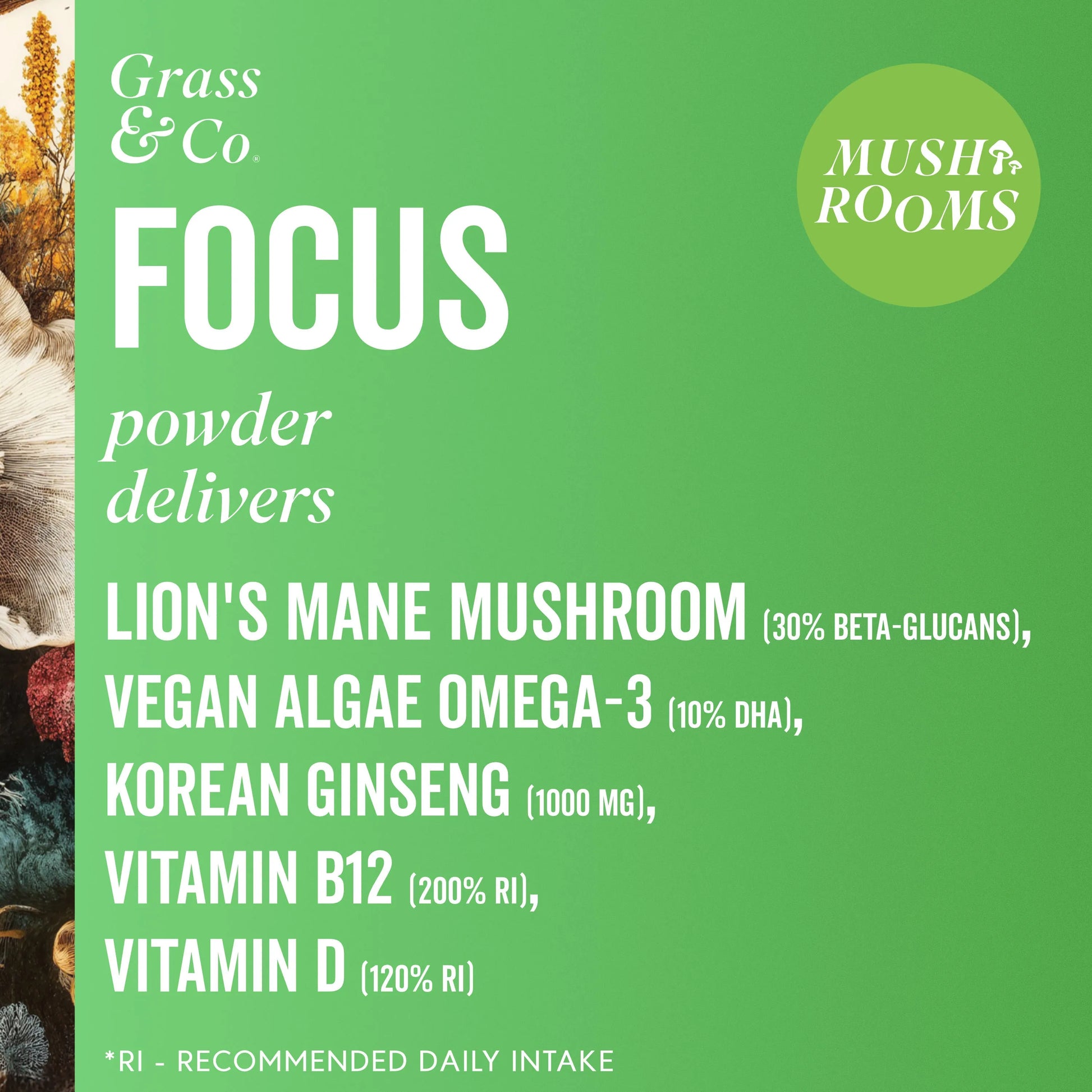 List of main ingredients in FOCUS powder 
