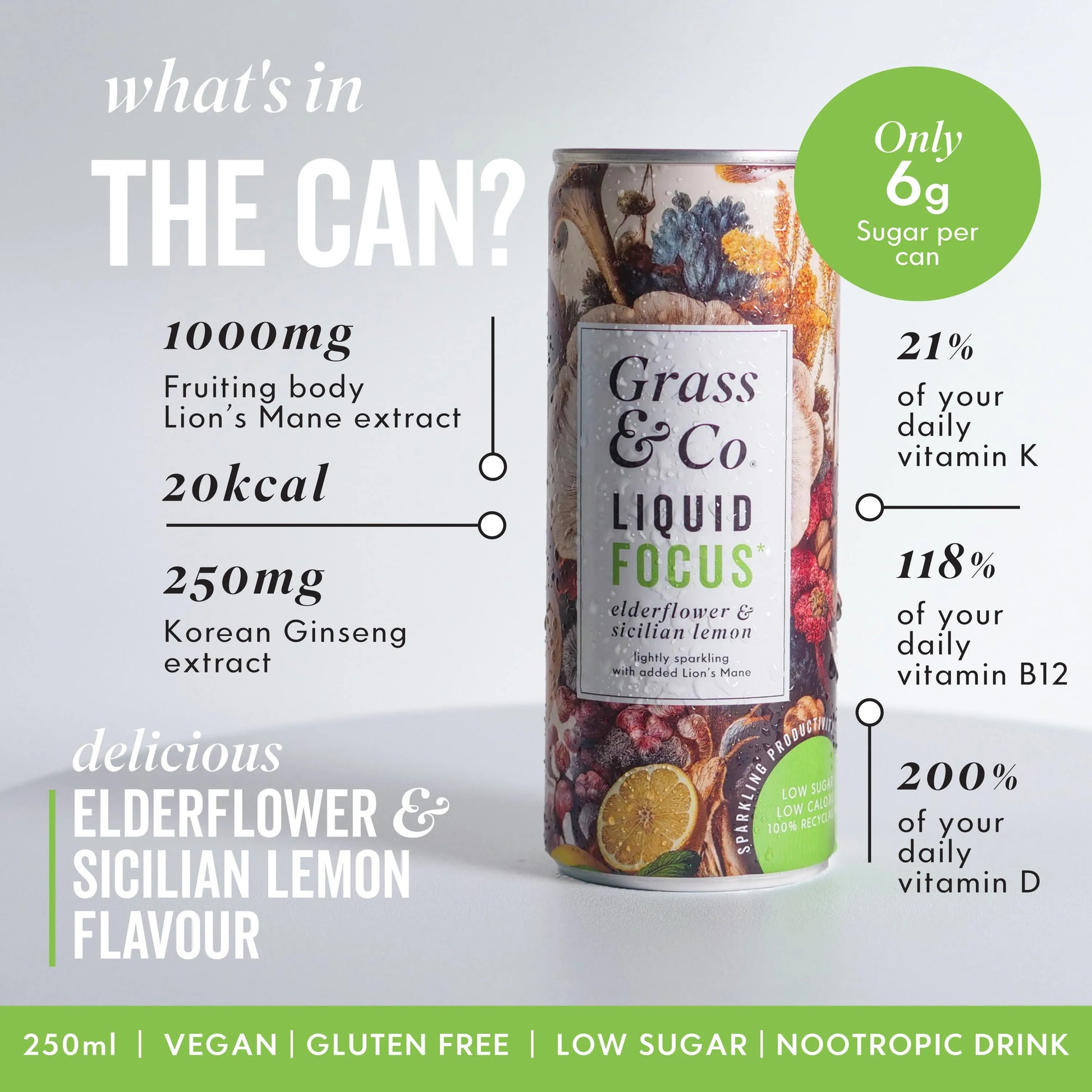 FOCUS Can and key ingredients annotation 
