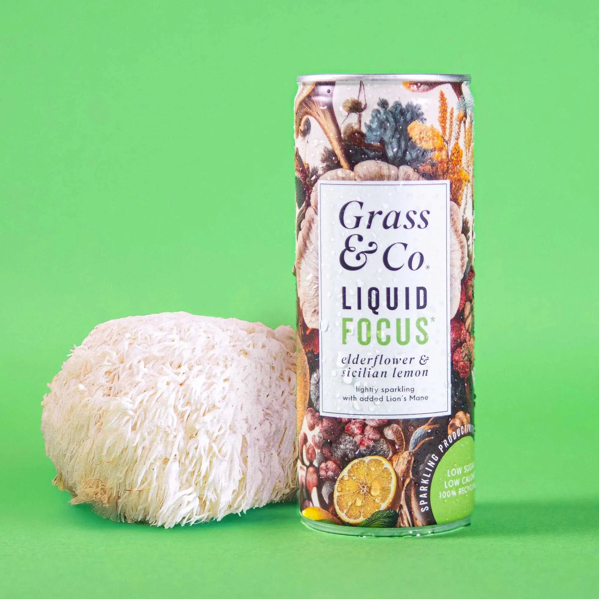 Liquid FOCUS | Nootropic Drink