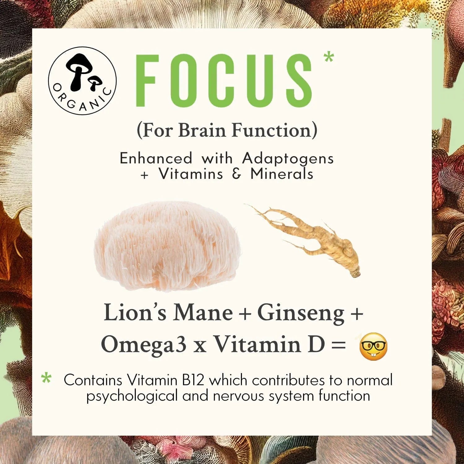 FOCUS | Lion's Mane Mushroom Capsules