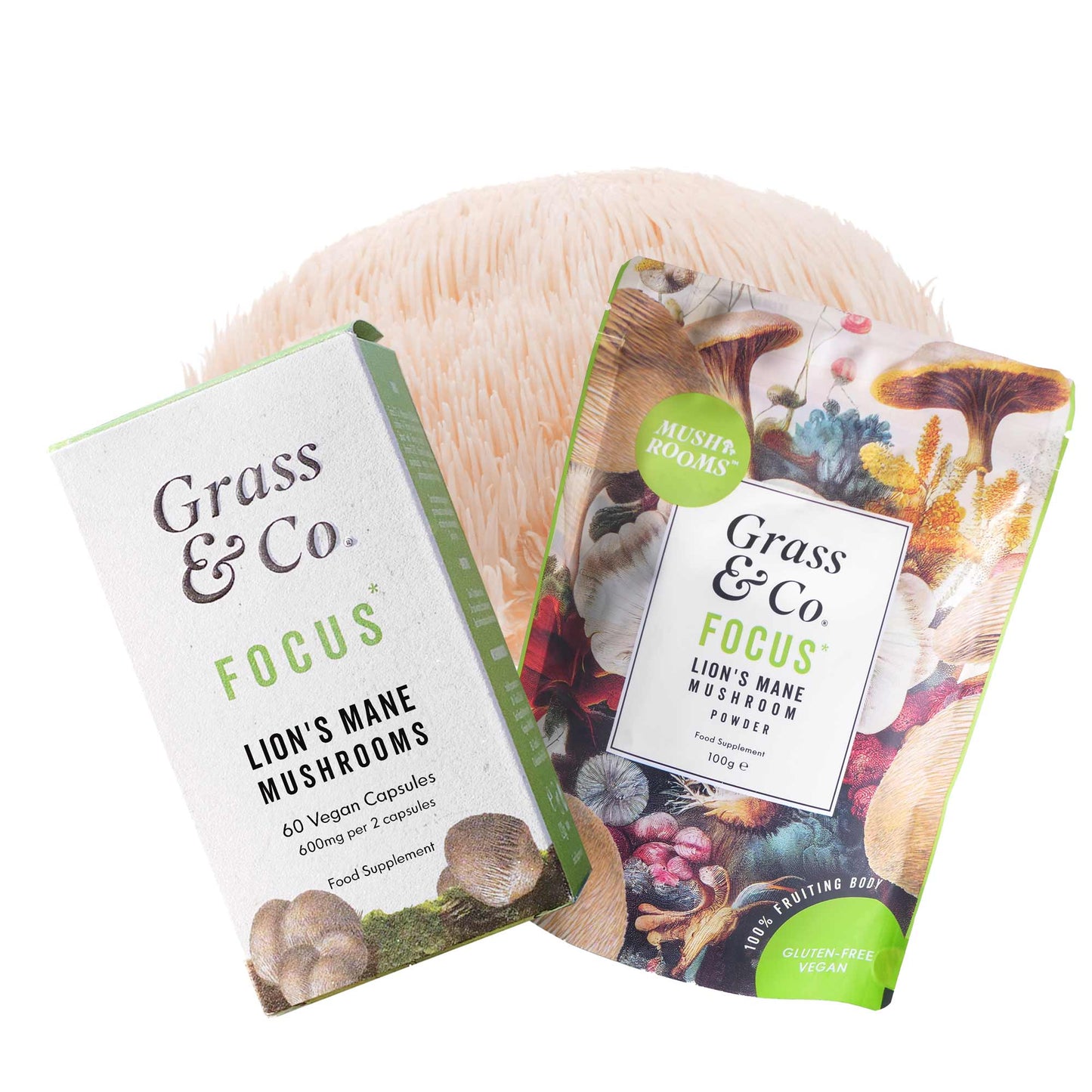 Mushrooms | FOCUS Bundle