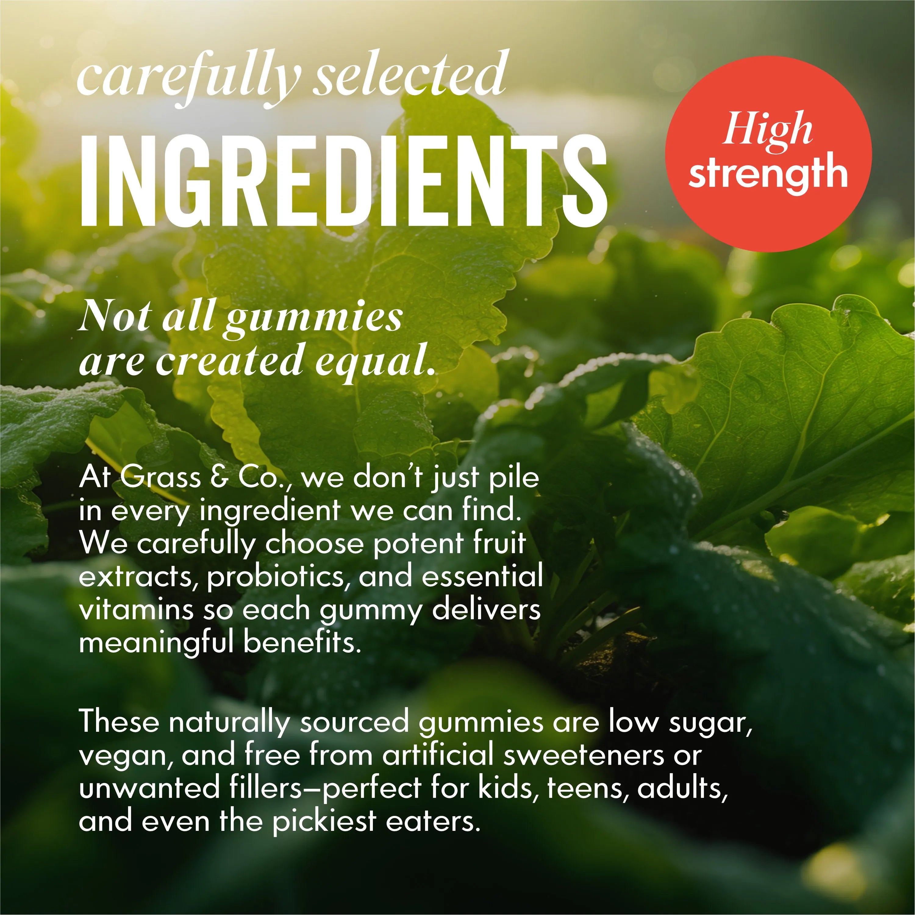 Benefits of Family Greens on Lettuce Background 