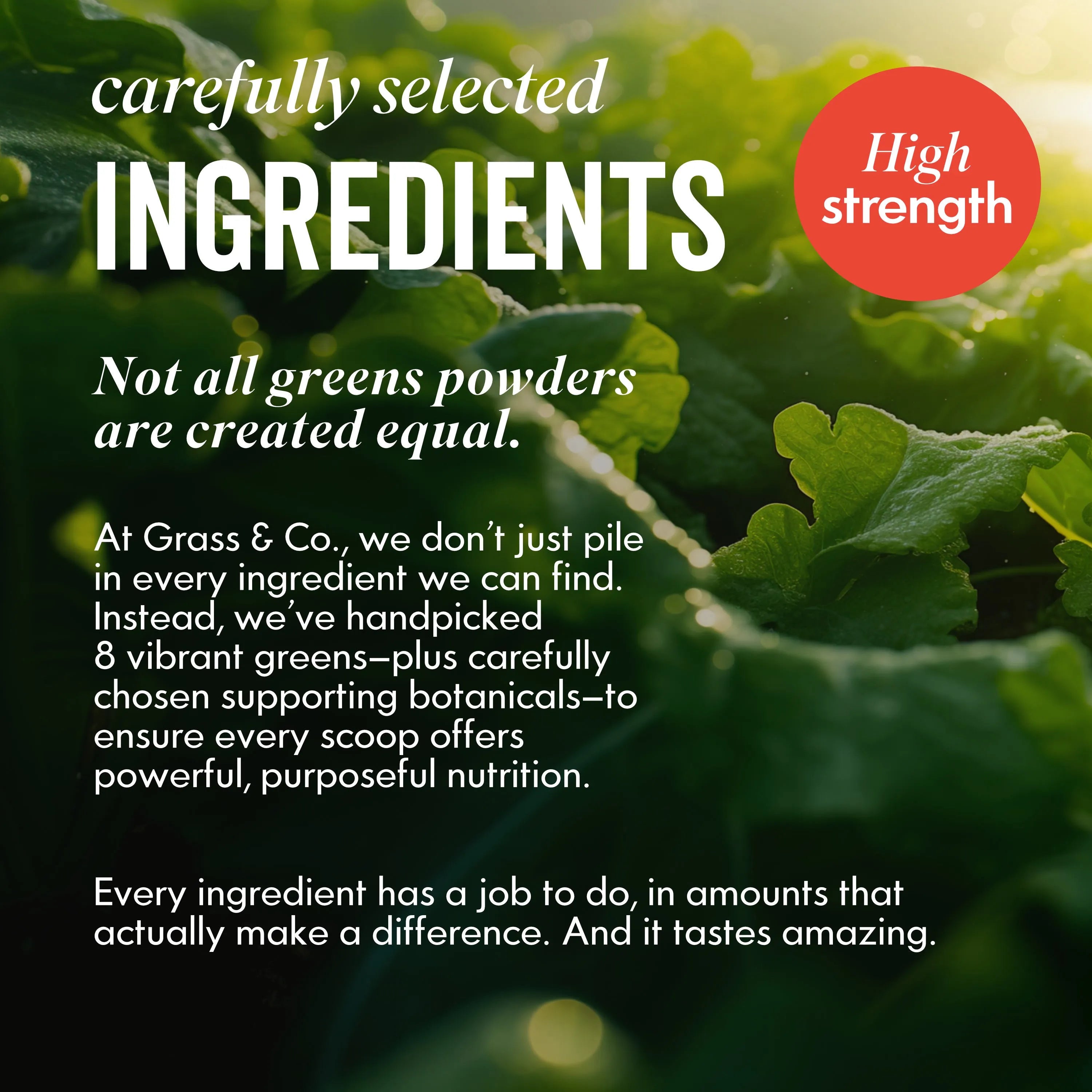 Active Greens into on lettuce leaf background 