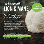 Lions Mane Mushroom next to description