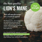 Lions Mane Mushroom next to description