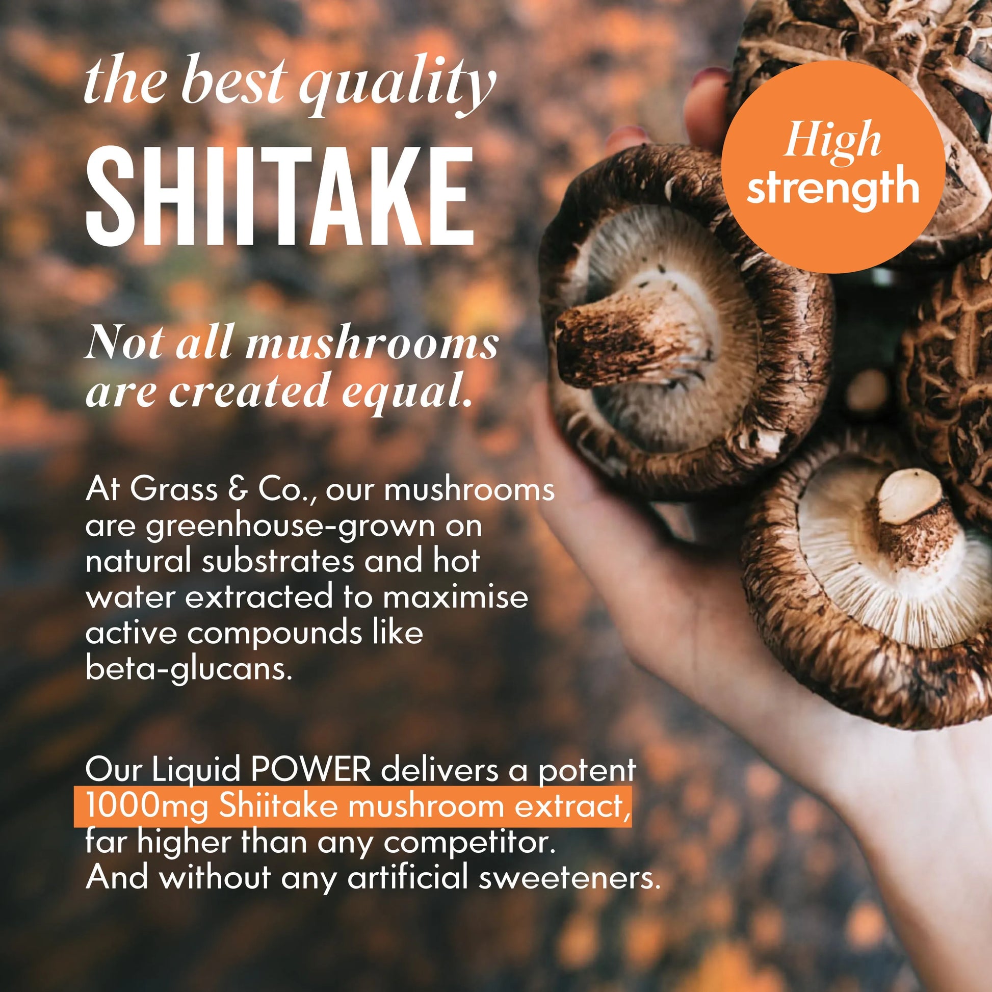 Shiitake Mushroom next to description 