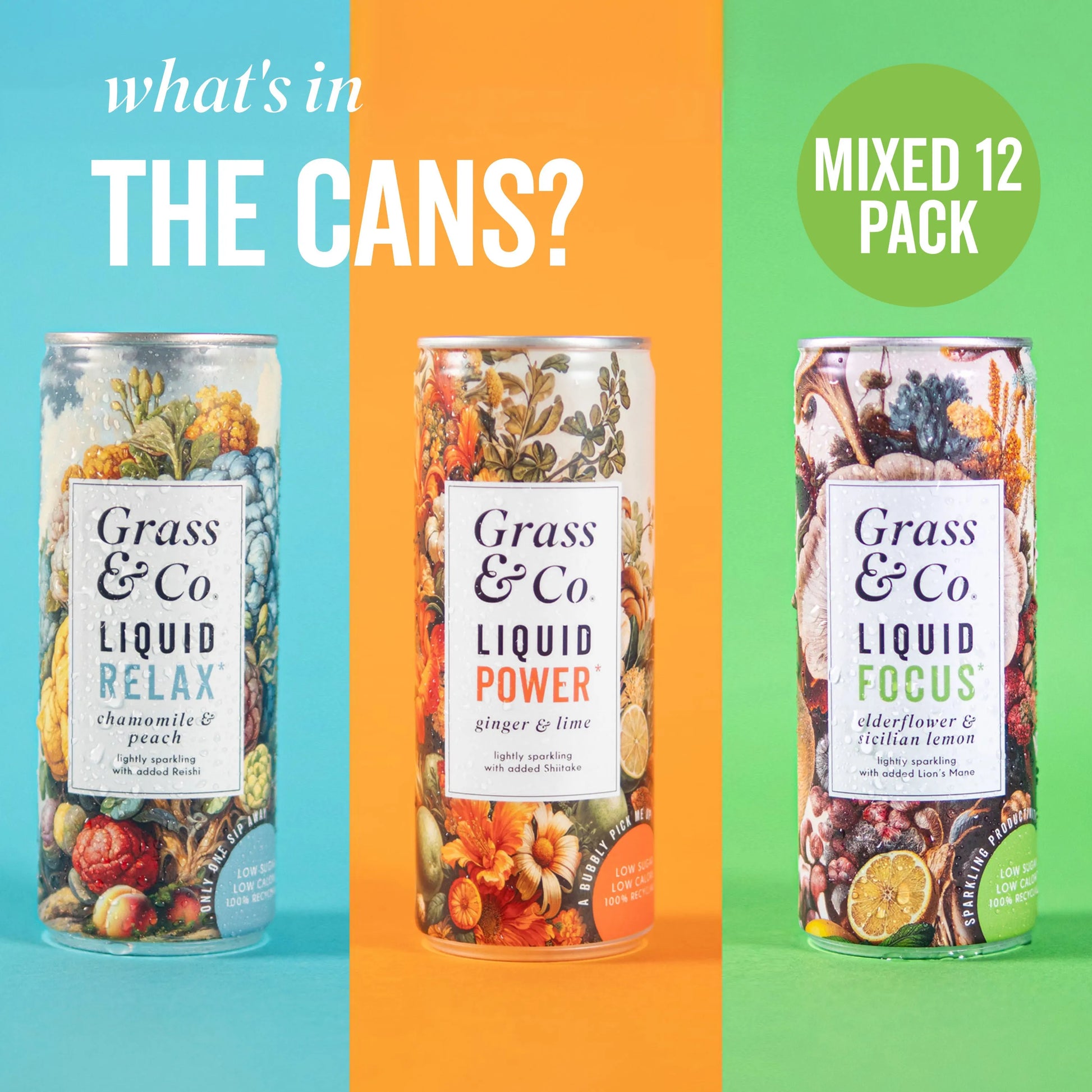 The three flavours of cans in a mixed 12 pack 