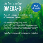 Seaweed Image with Omega 3 Benefits  