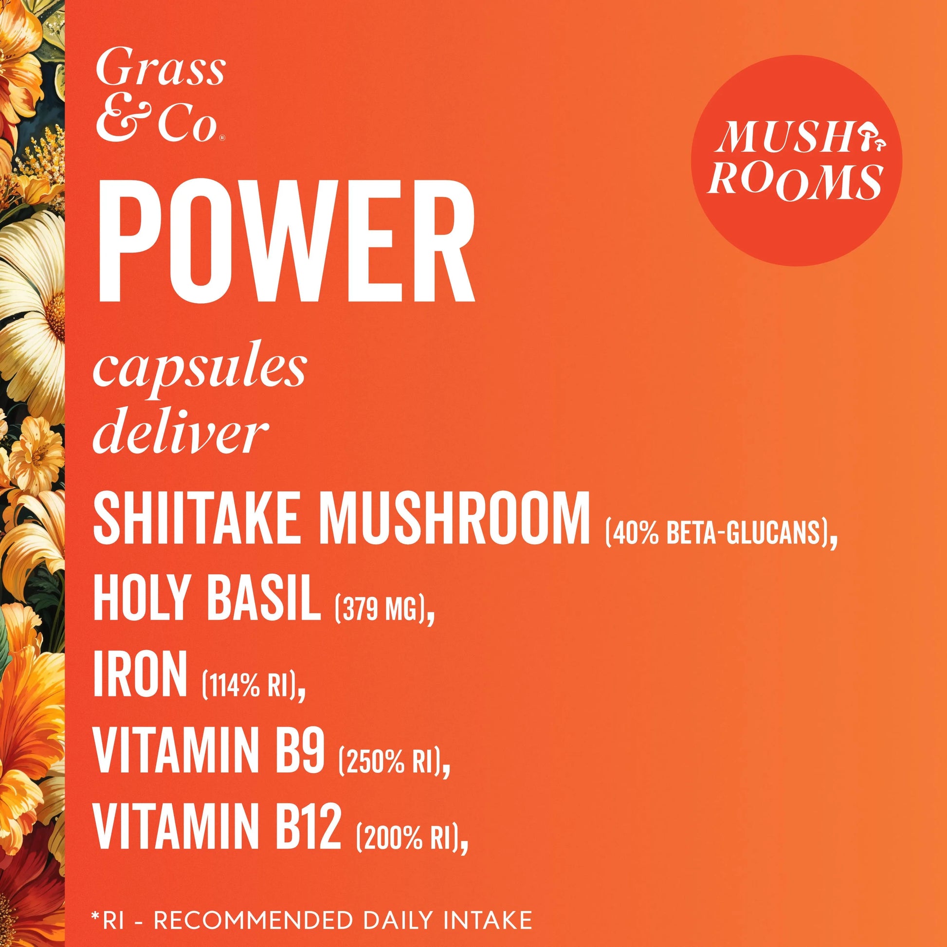 Image showing key ingredients in POWER capsules 