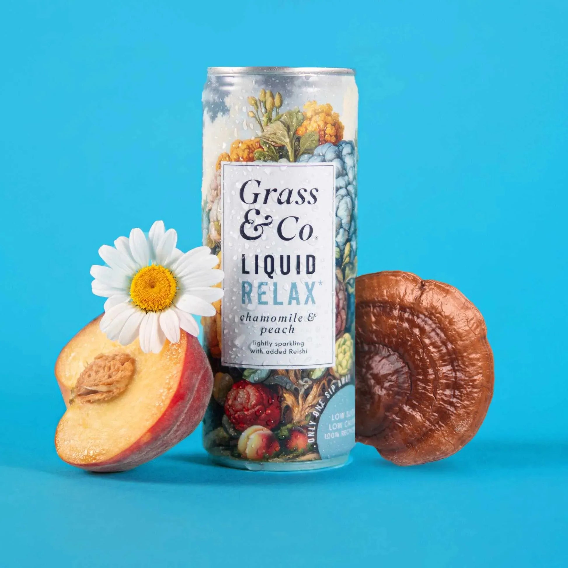 Liquid RELAX | Nootropic Drink