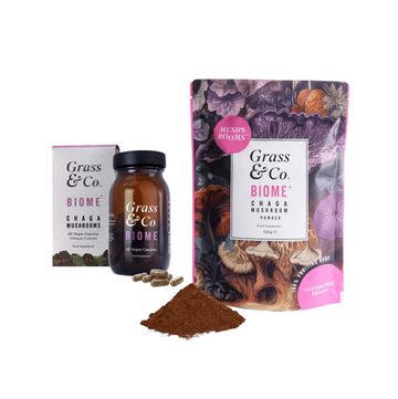 Mushrooms | Gut Health Bundle