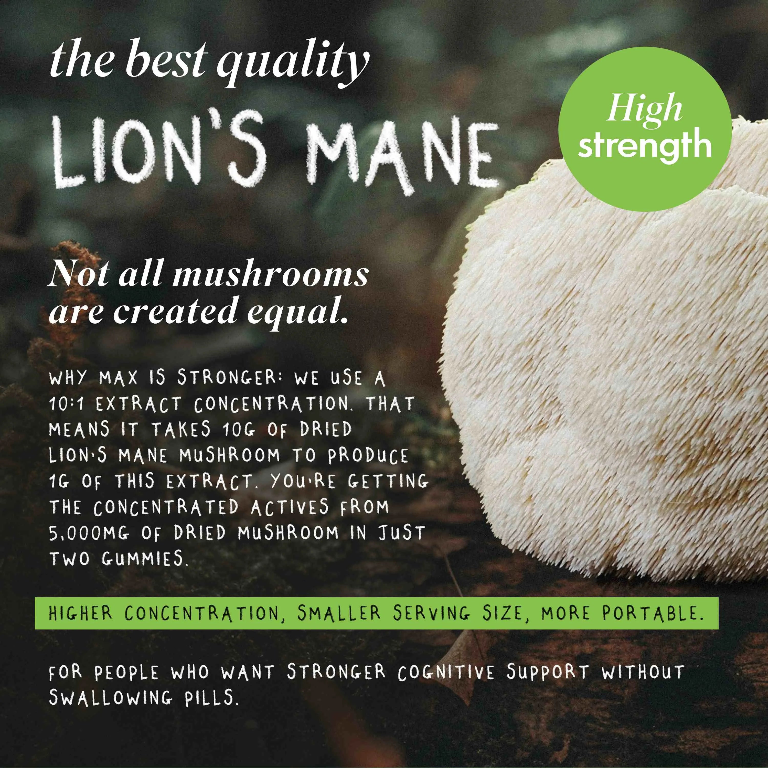 FOCUS MAX | Lion's Mane Mushroom Gummies