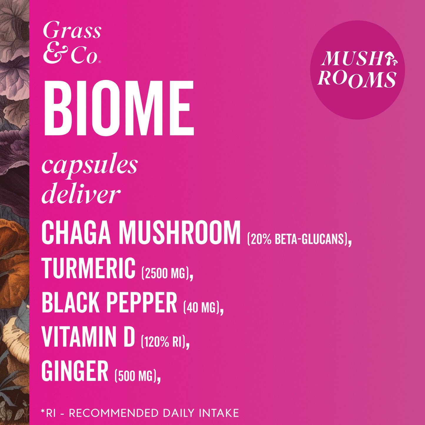 BIOME | Chaga Mushroom Capsules