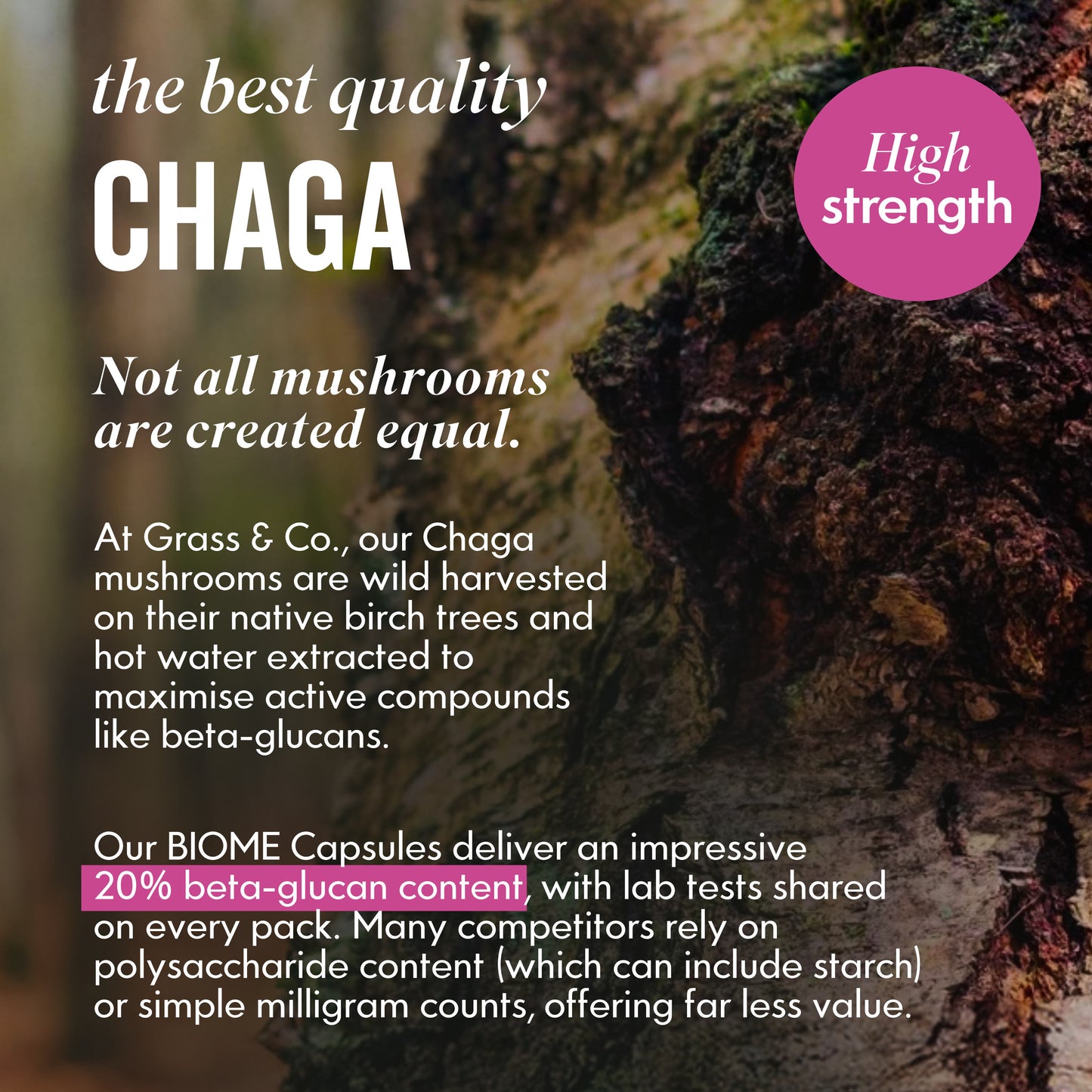 BIOME | Chaga Mushroom Capsules