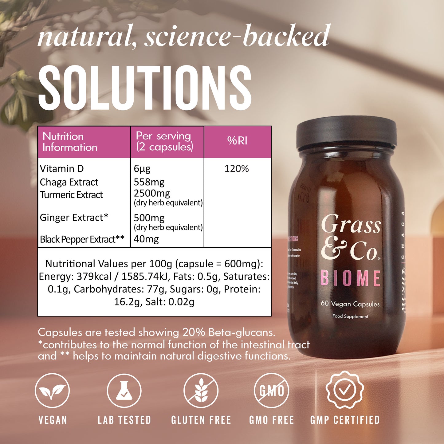 BIOME | Chaga Mushroom Capsules