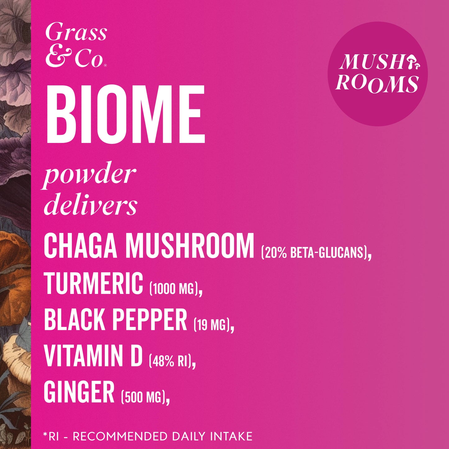 BIOME | Chaga Mushroom Powder