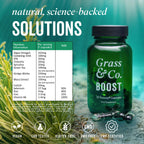 BOOST | Algae Omega-3 Duocap® Capsules