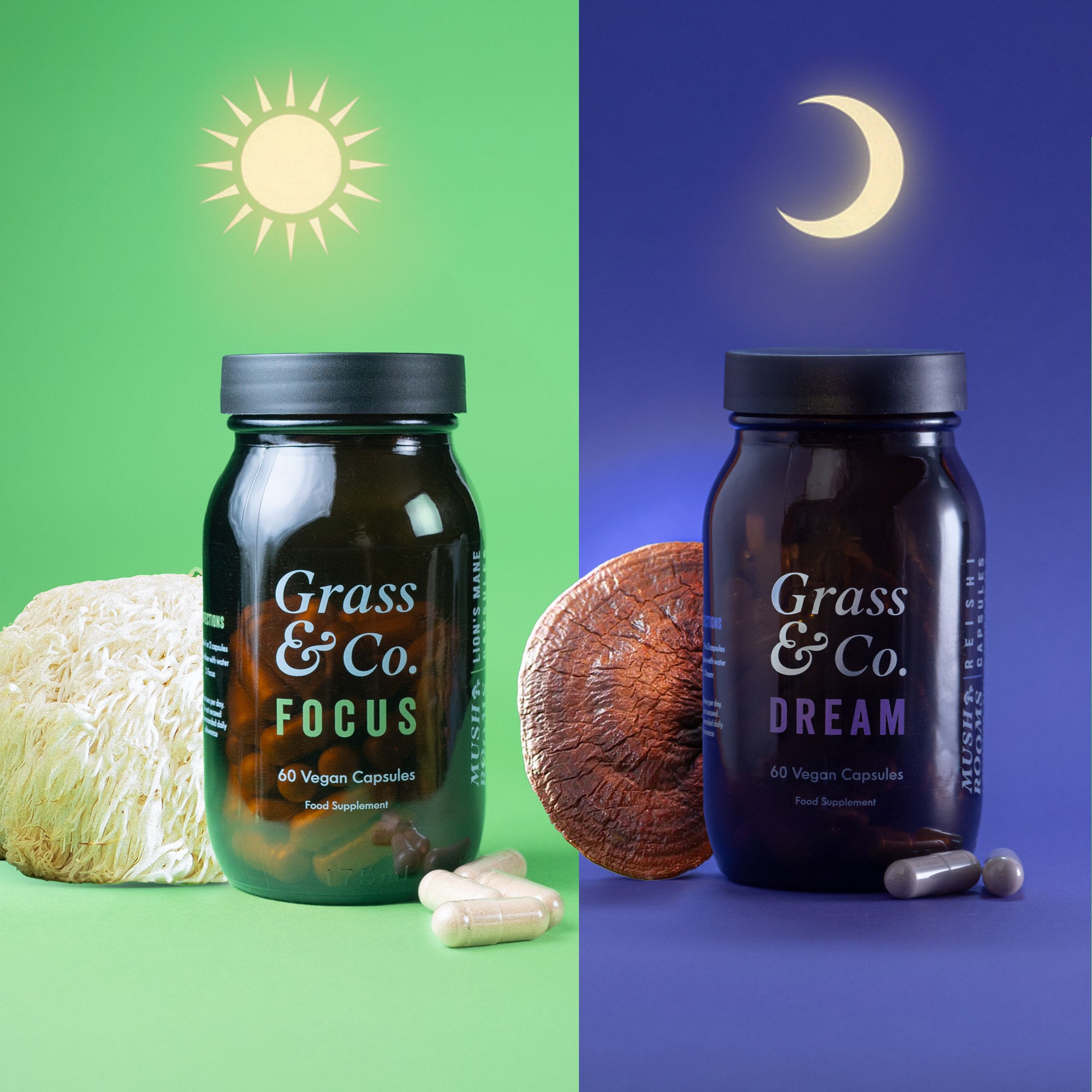 Mushrooms | Day & Night Bundle