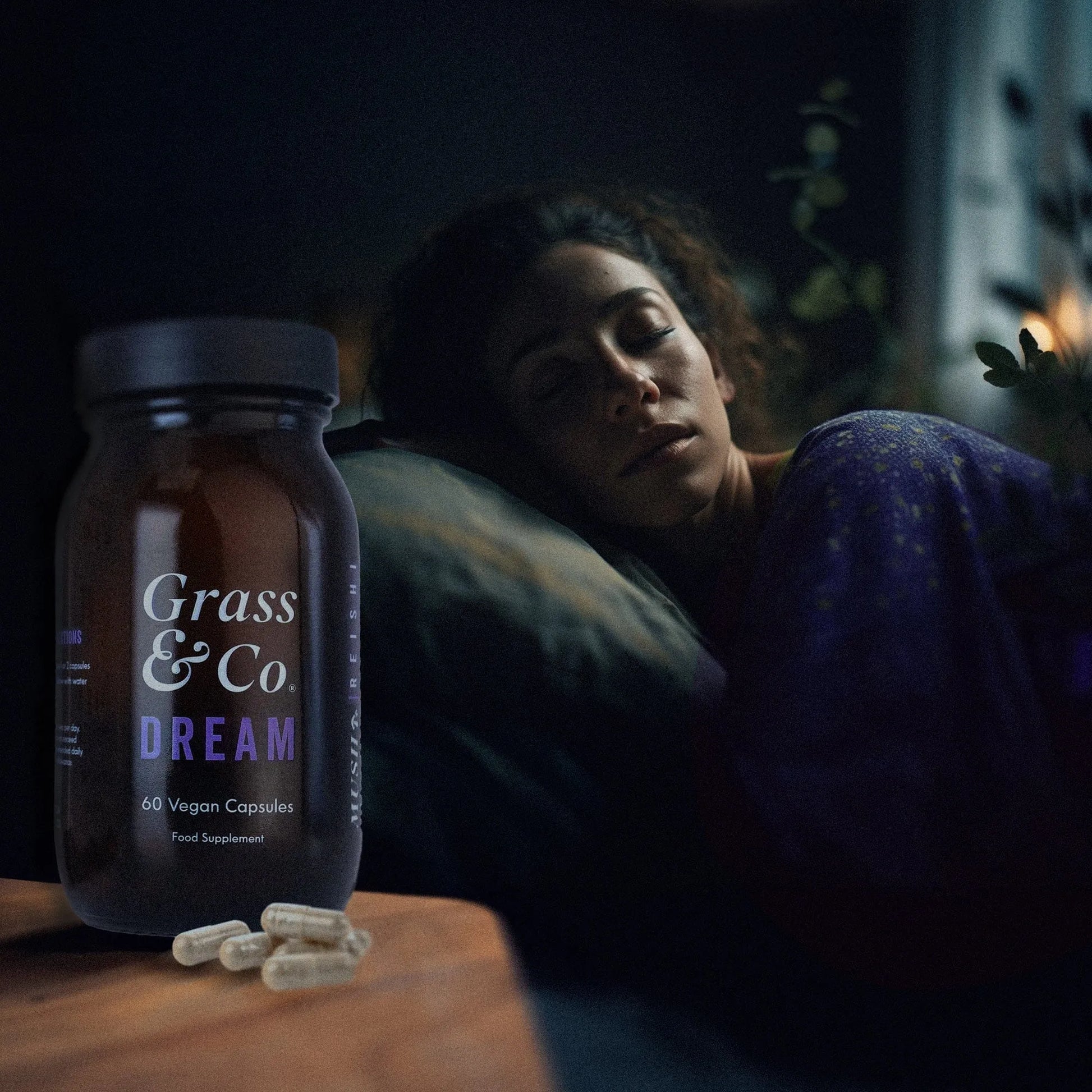 DREAM | Reishi Mushroom Capsules