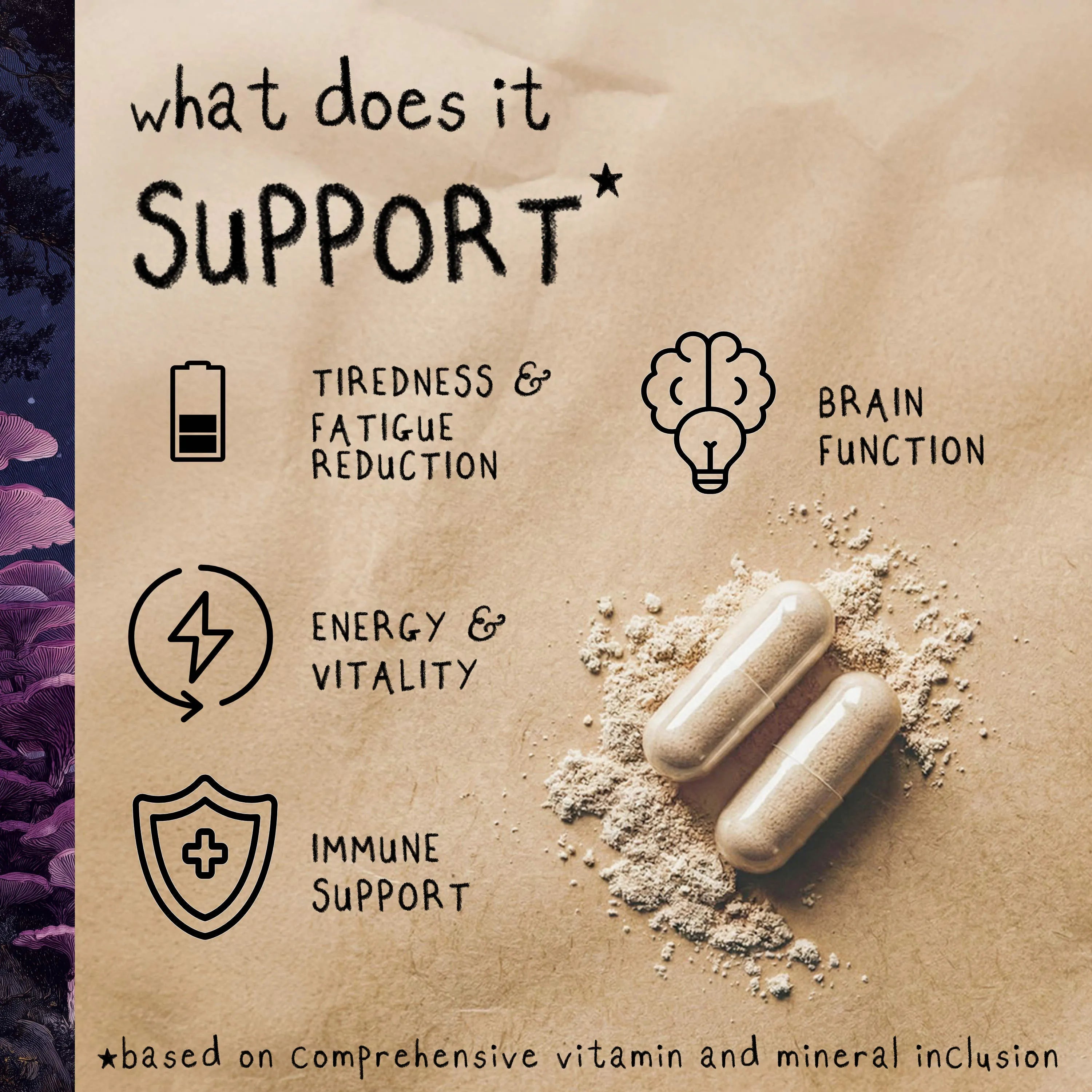 DREAM | Reishi Mushroom Capsules