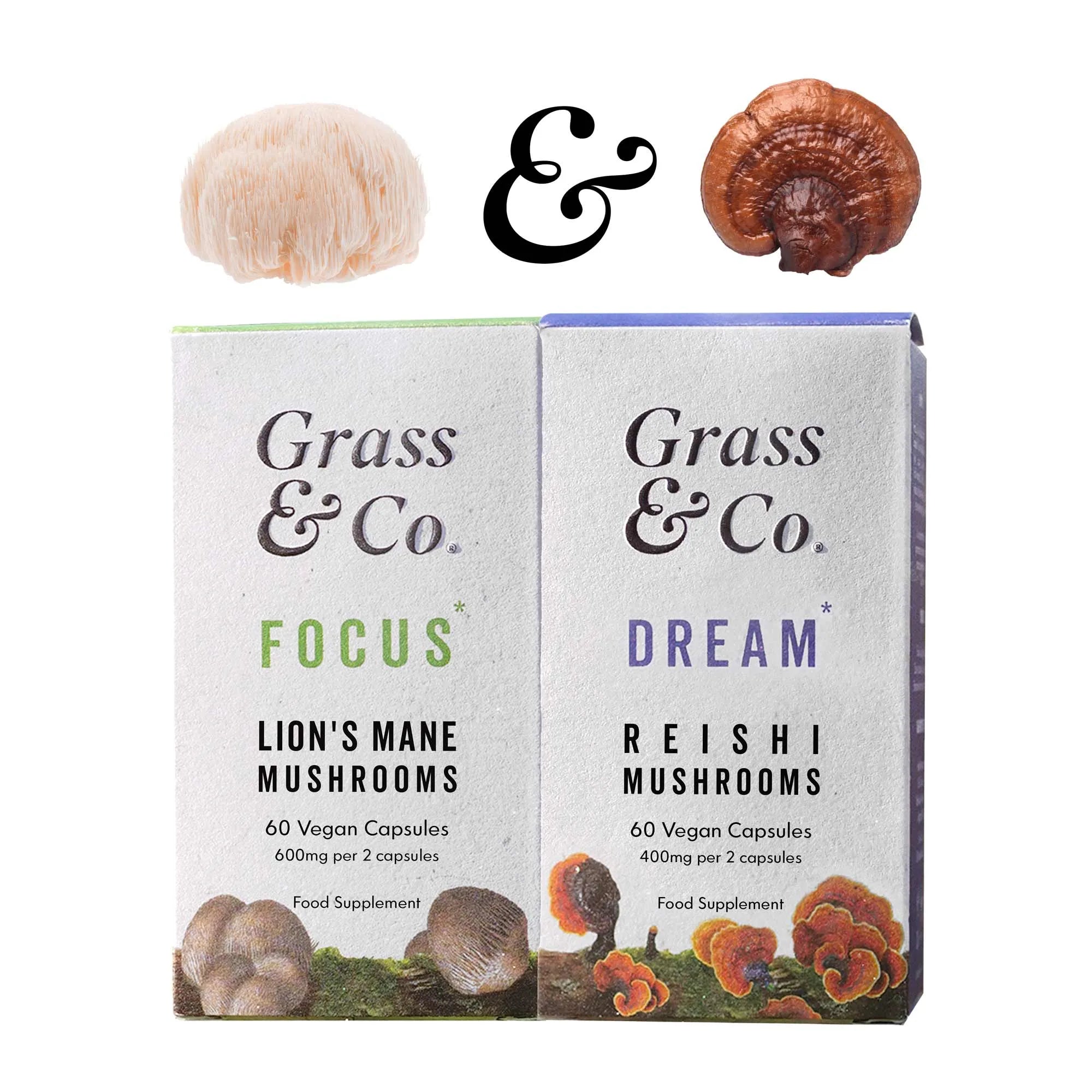 Mushrooms | Day & Night Bundle