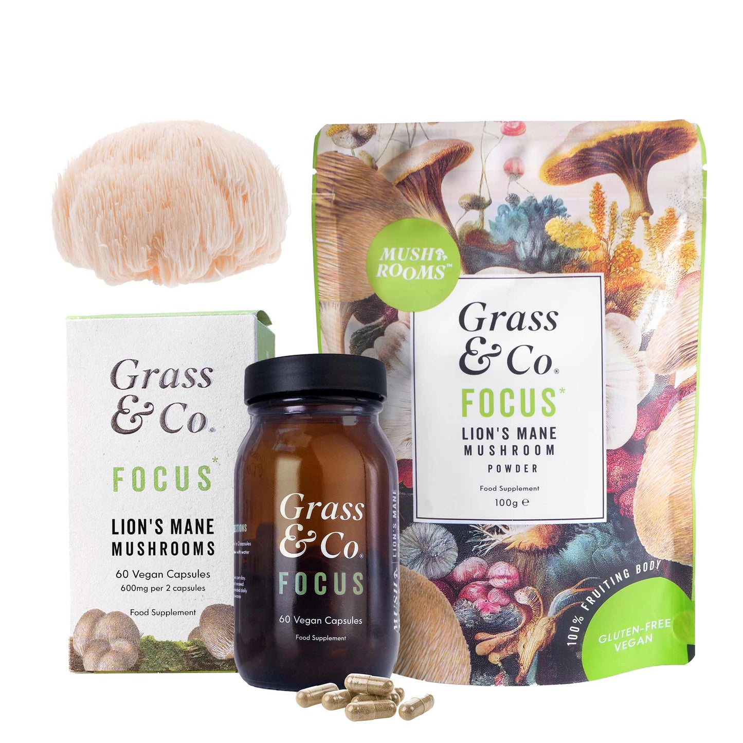 Mushrooms | FOCUS Bundle