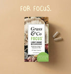 FOCUS | Lion's Mane Mushroom Capsules