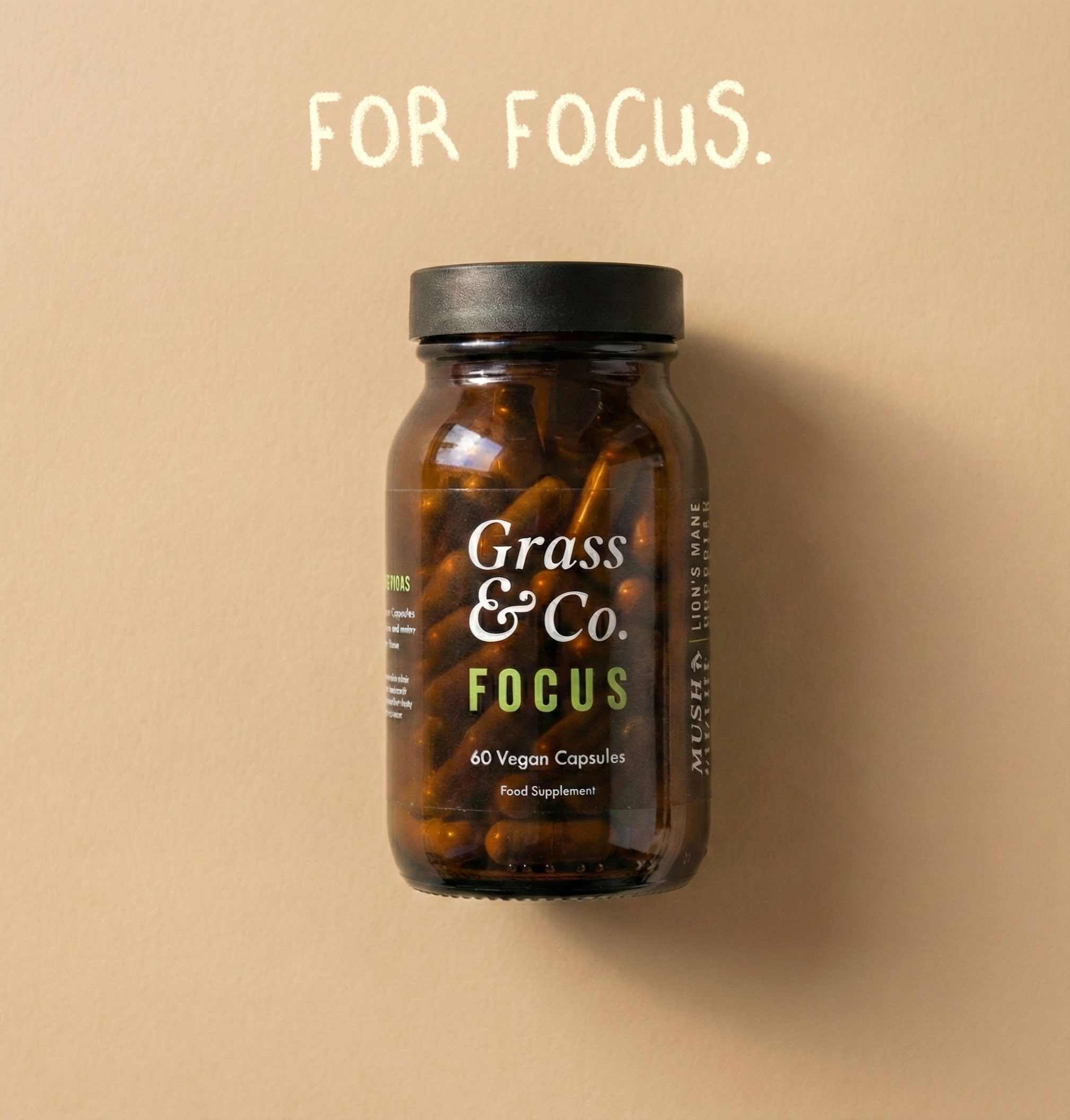 FOCUS - Löwenmähne Vitalpilz-Kapseln