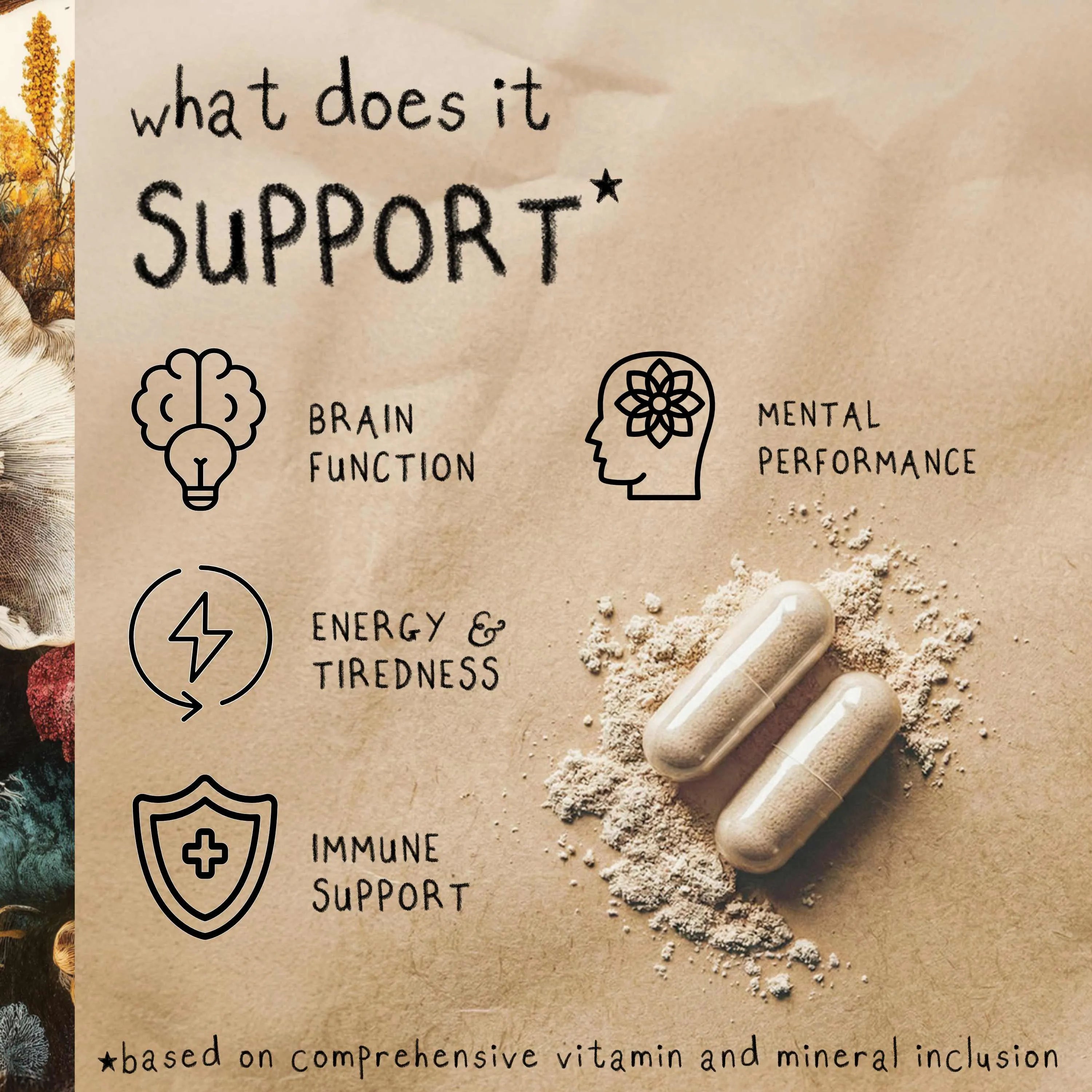 FOCUS | Lion's Mane Mushroom Capsules