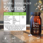 FOCUS | Lion's Mane Mushroom Capsules