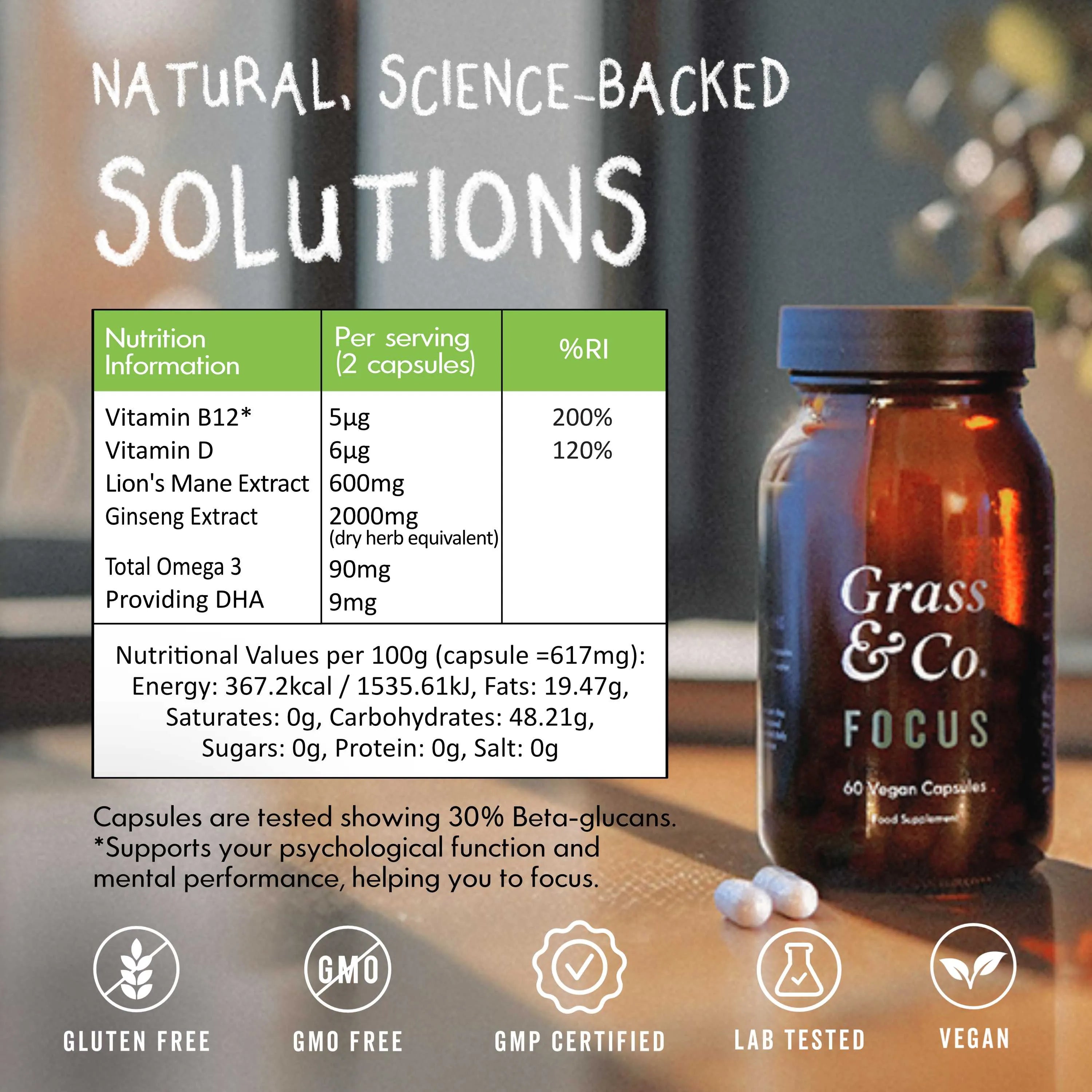 FOCUS | Lion's Mane Mushroom Capsules