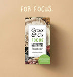 FOCUS | Lion's Mane Mushroom Capsules